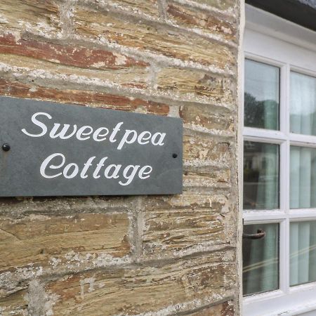 Sweetpea Cottage Сент-Аґнес Екстер'єр фото